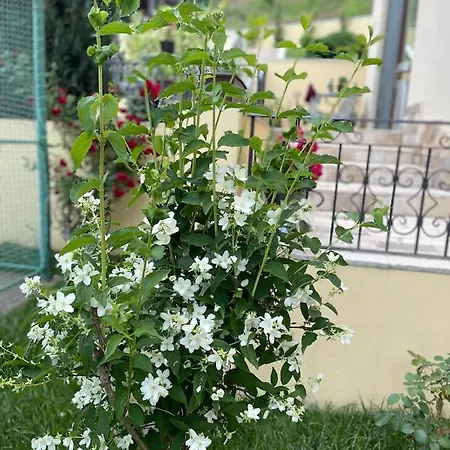 וילה Casa Beatrice